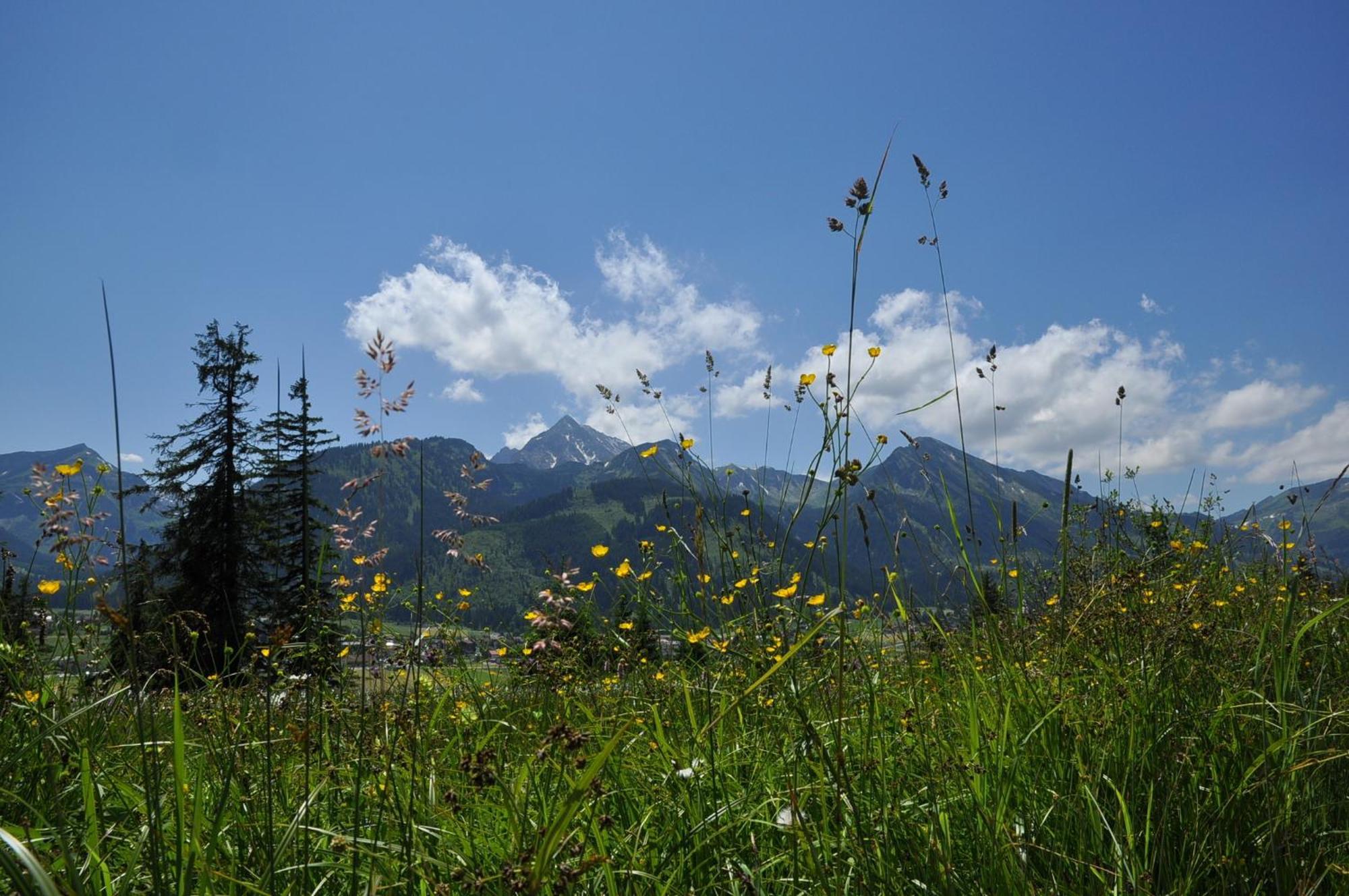 Landhaus Alpensonne Schattwald Exteriér fotografie