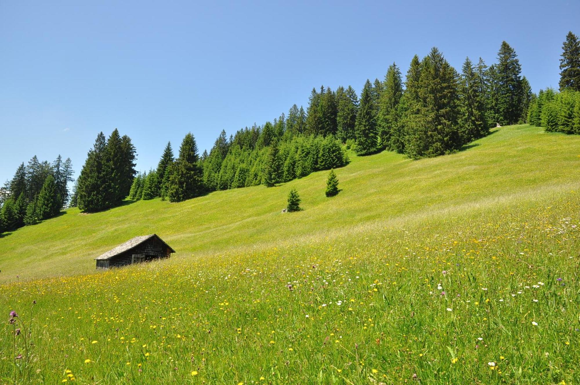 Landhaus Alpensonne Schattwald Exteriér fotografie